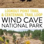 With wildlife sightings, the Lookout Point Trail and Centennial Trail loop is a great hike in Wind Cave National Park.