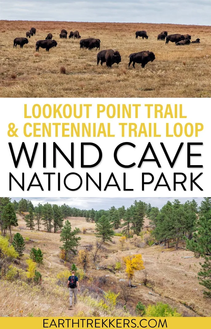 With wildlife sightings, the Lookout Point Trail and Centennial Trail loop is a great hike in Wind Cave National Park.