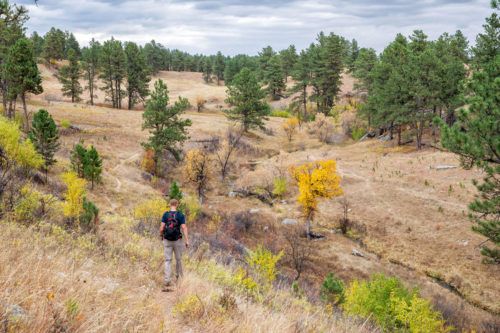 Lookout Point Trail & Centennial Trail Loop | Wind Cave National Park ...