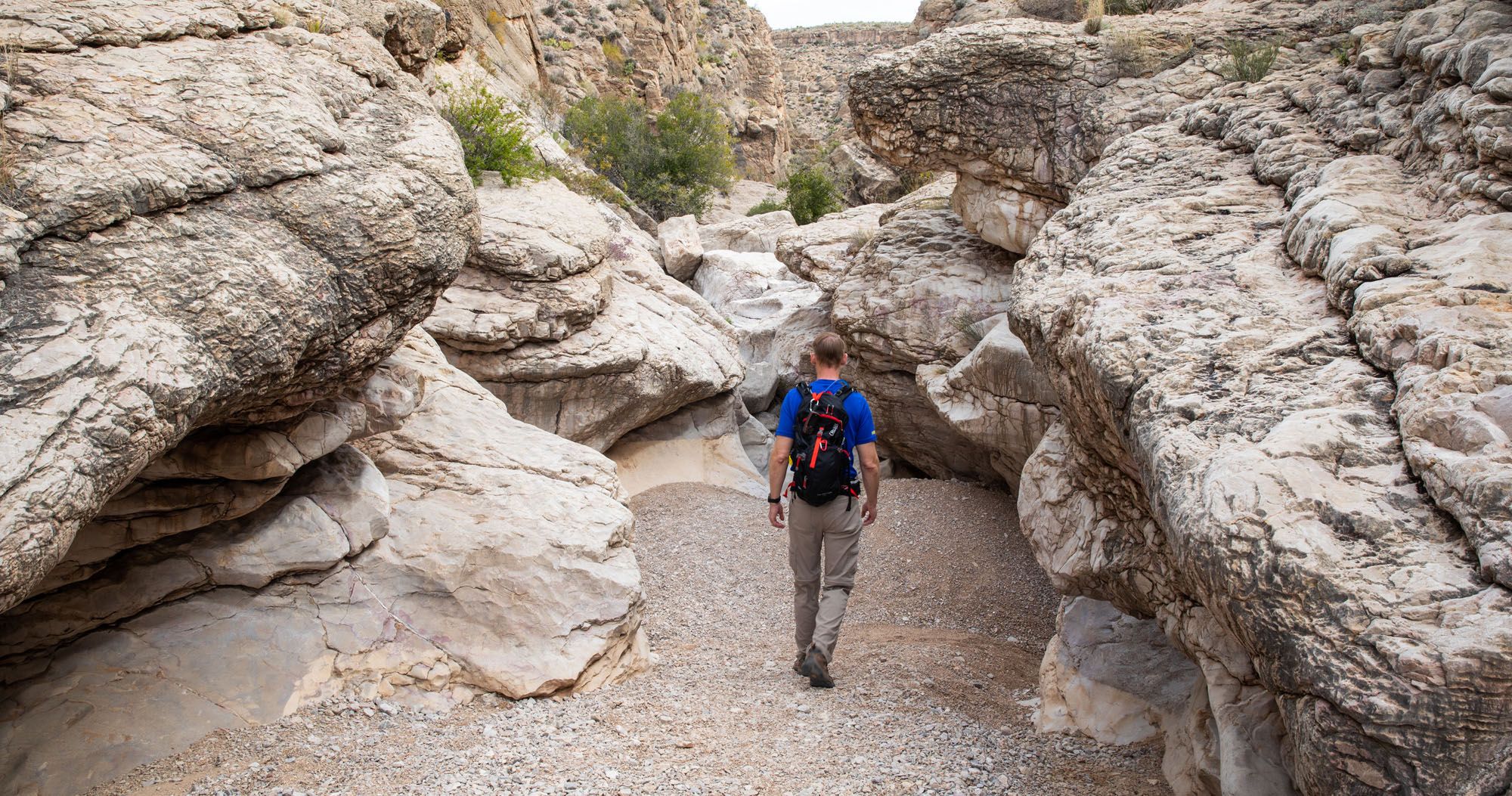 Featured image for “15 Great Hikes to Do in Big Bend National Park”