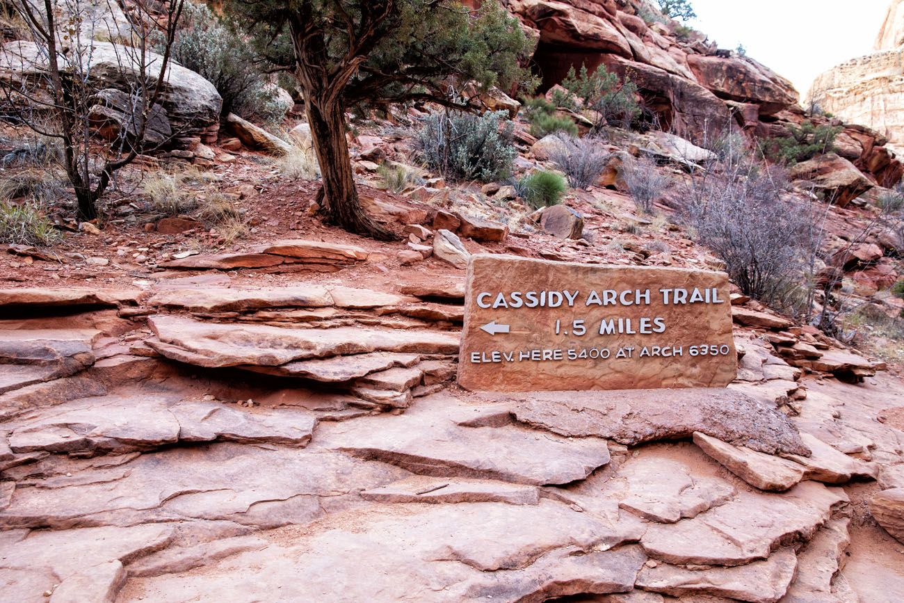 Cassidy Arch Sign
