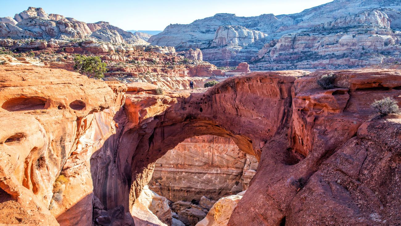 Cassidy Arch An Essential Hike In Capitol Reef National Park Earth Trekkers