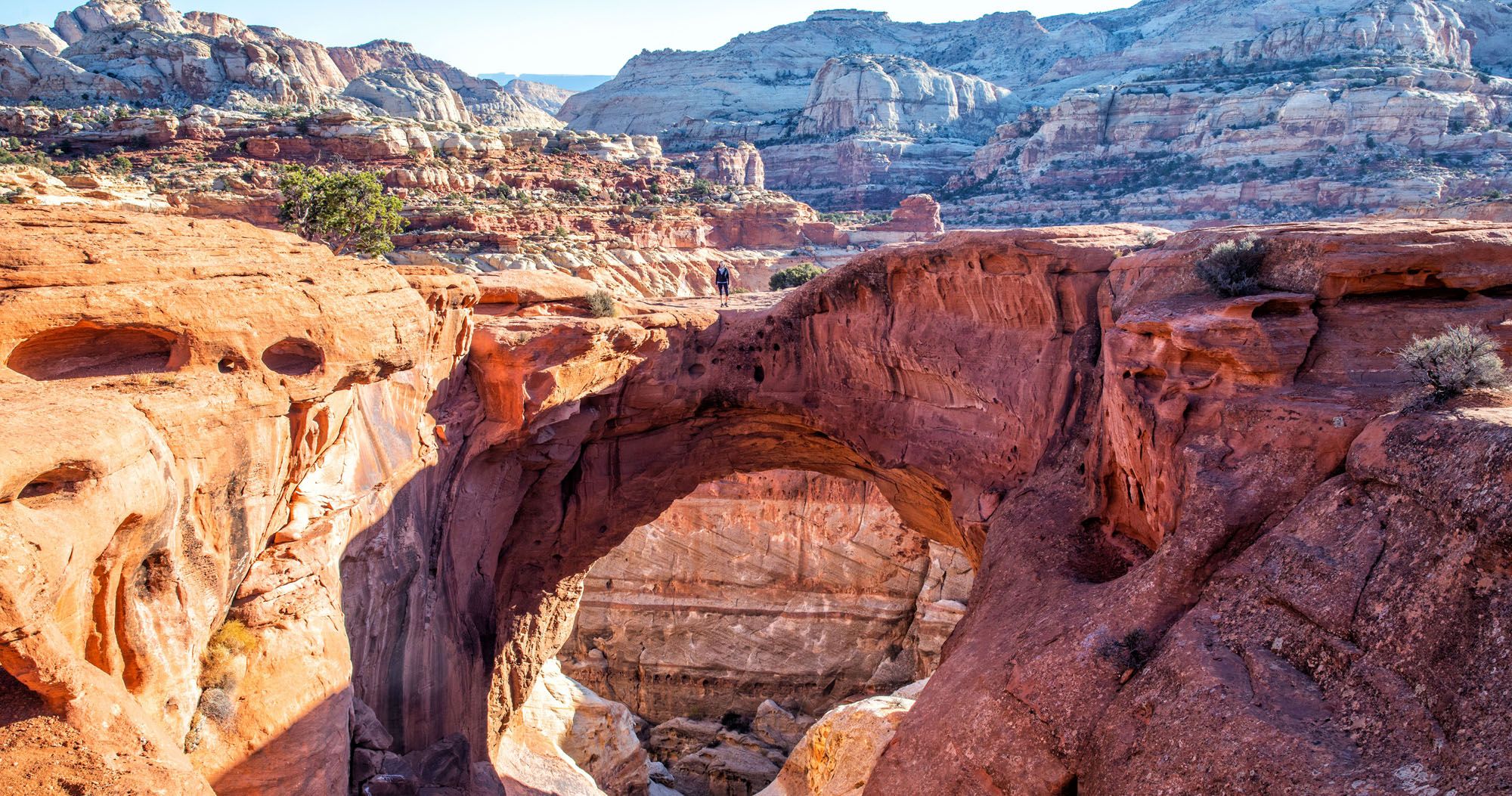 Featured image for “Cassidy Arch, An Essential Hike in Capitol Reef National Park”