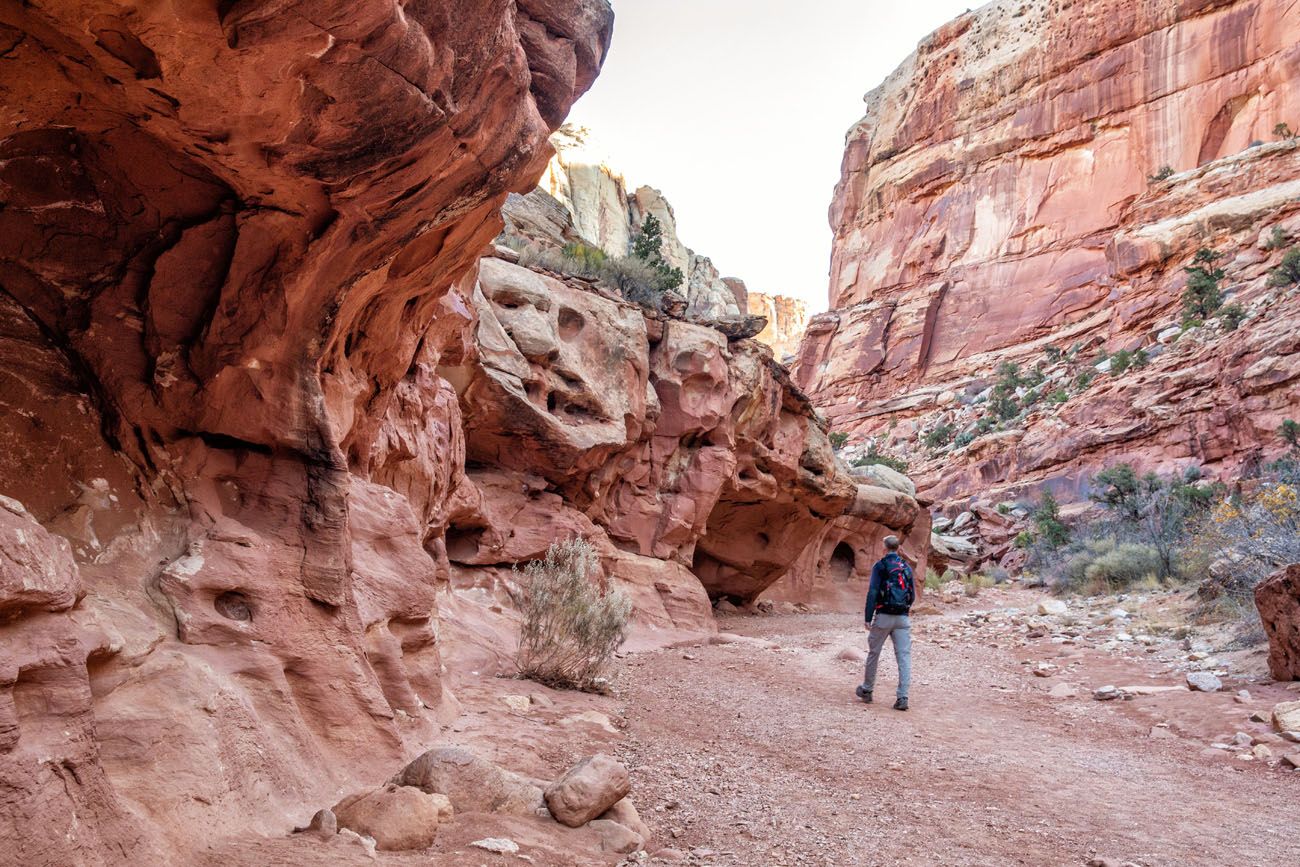 Arch, An Essential in Capitol Reef National Park – Trekkers