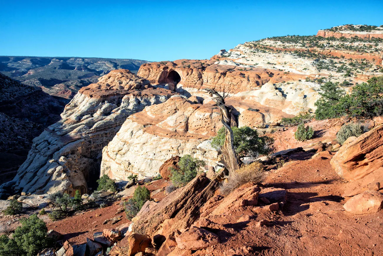 First View of Cassidy Arch