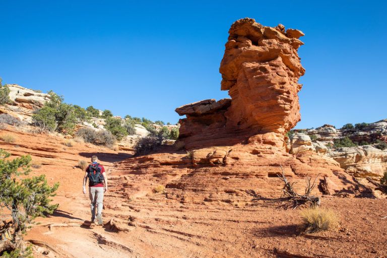 Cassidy Arch, An Essential Hike in Capitol Reef National Park | Earth ...