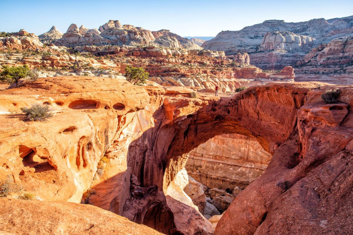 Cassidy Arch An Essential Hike In Capitol Reef National Park Earth Trekkers