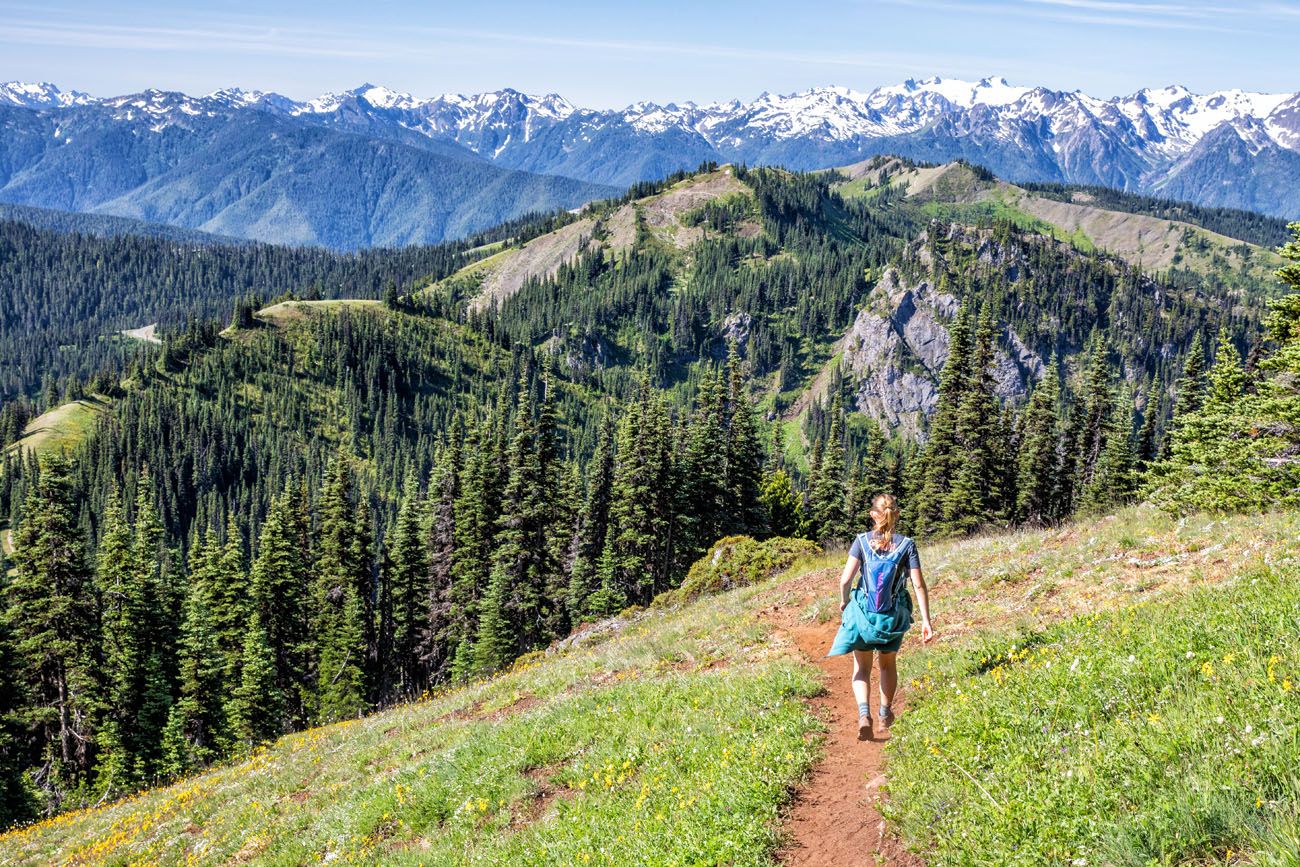 Olympic National Park | Best National Parks in August