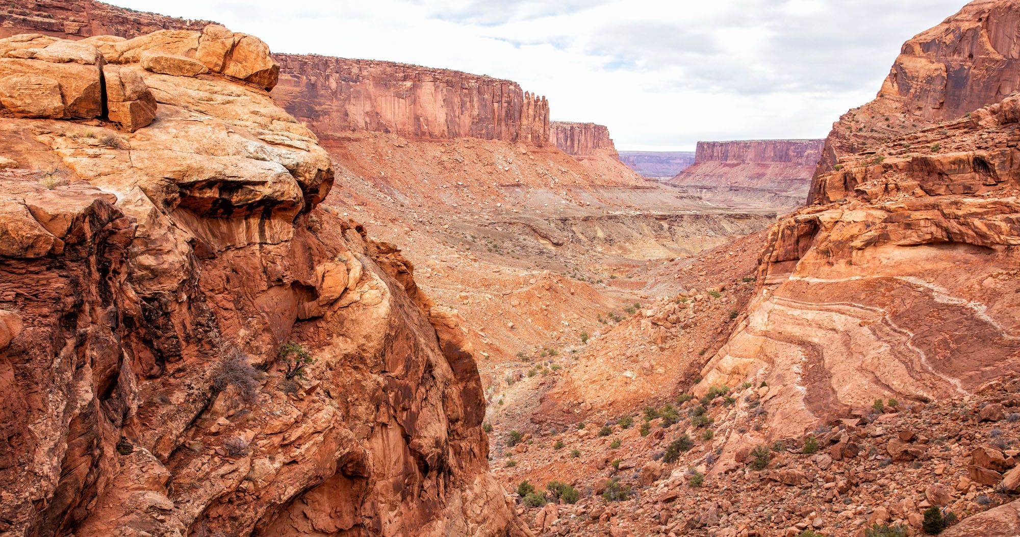 Featured image for “How to Hike the Syncline Loop in Canyonlands National Park”