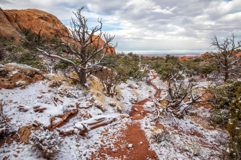 How to Hike the Syncline Loop in Canyonlands National Park – Earth Trekkers