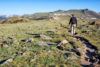 Hiking The Ute Trail To Tombstone Ridge, RMNP | Earth Trekkers