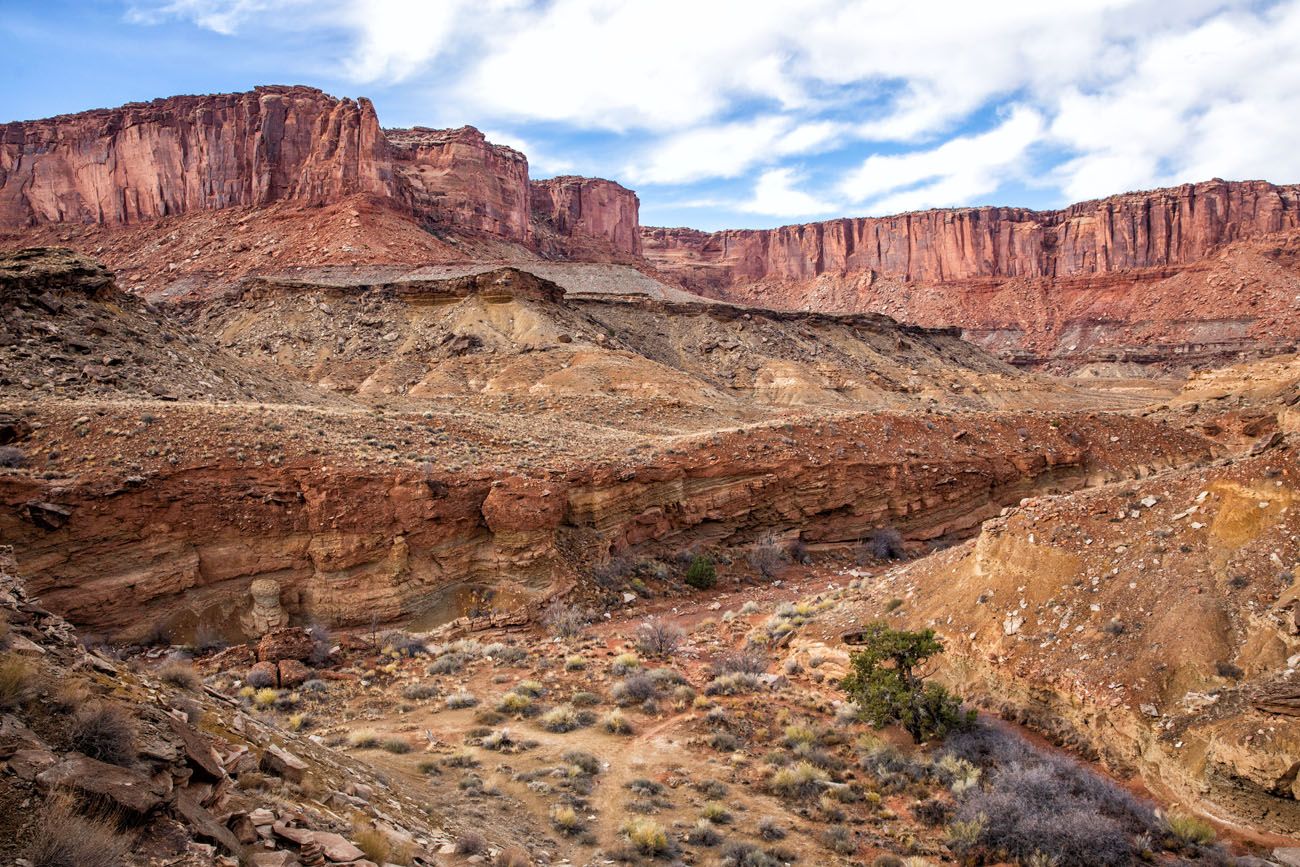 View of Upheaval Dome Canyon