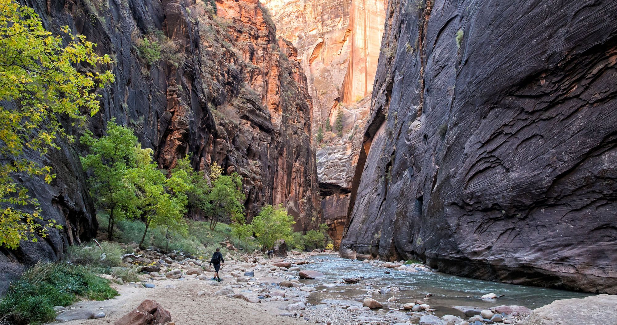 Featured image for “5 Things to Know Before Visiting Zion National Park”