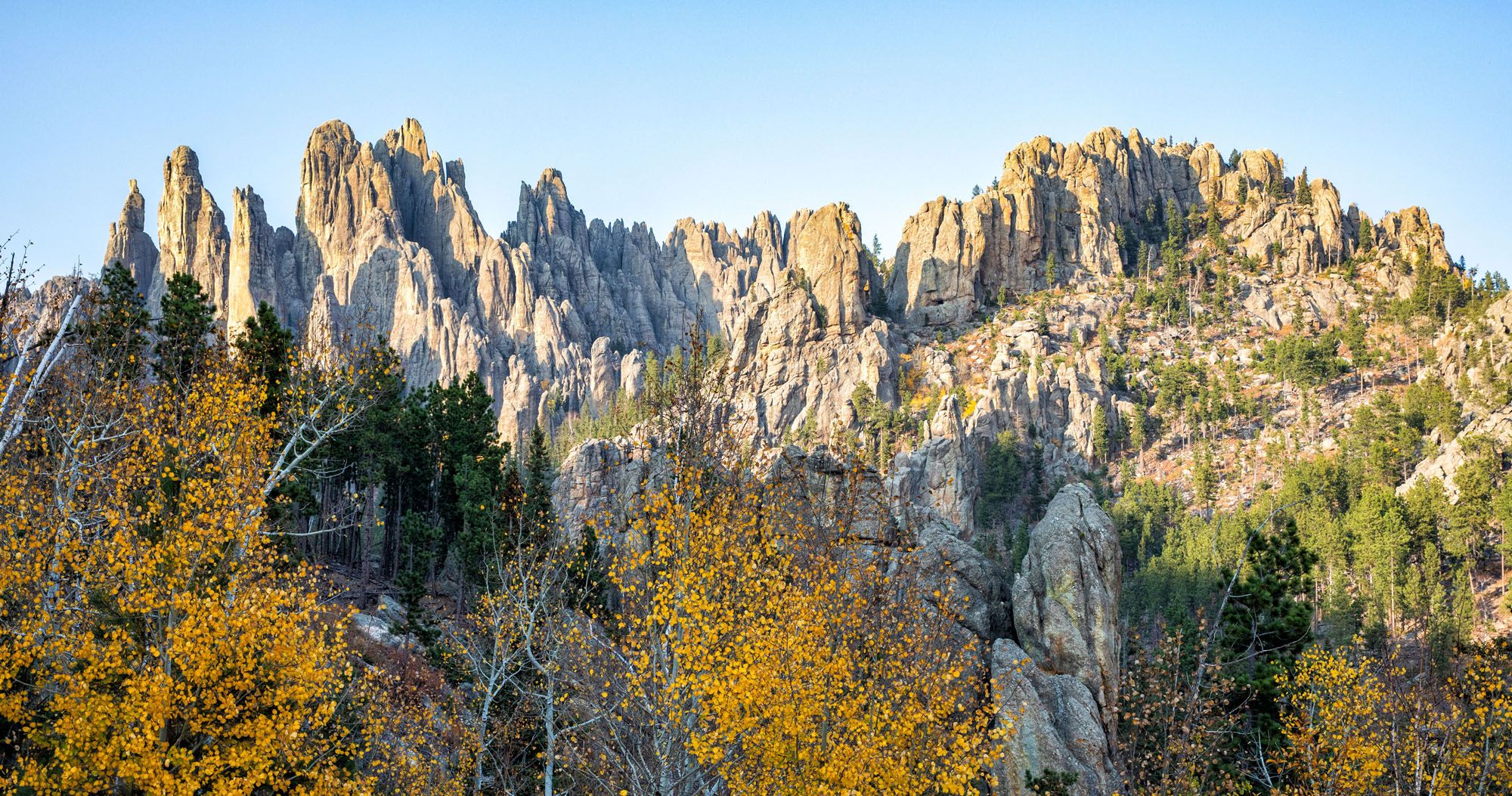 Featured image for “Custer State Park: Best Hikes, Best Scenic Drives & Best Things To Do”