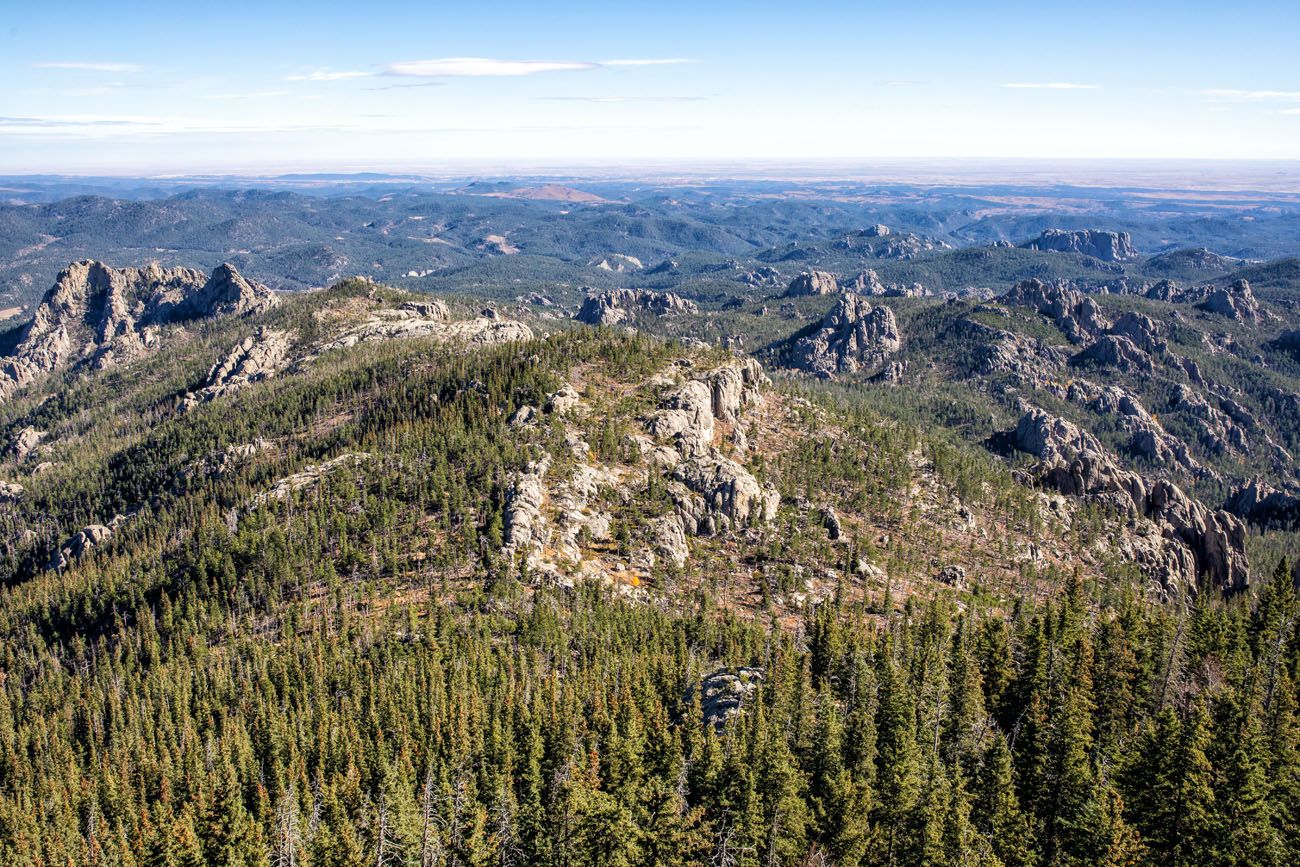 Black Elk Peak View