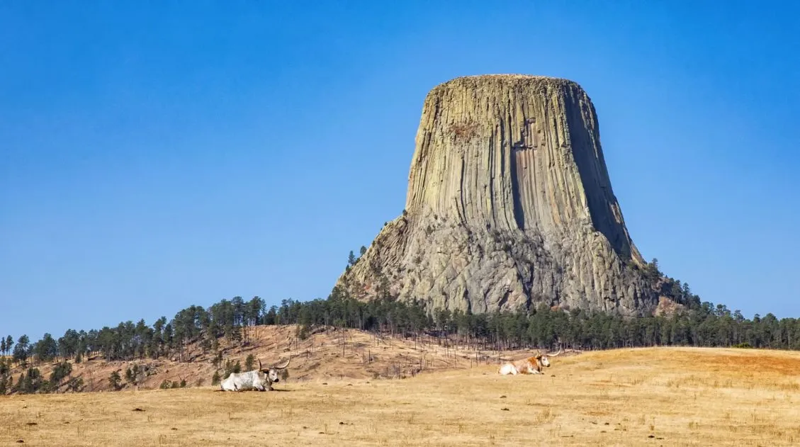 Devils Tower Day Trip
