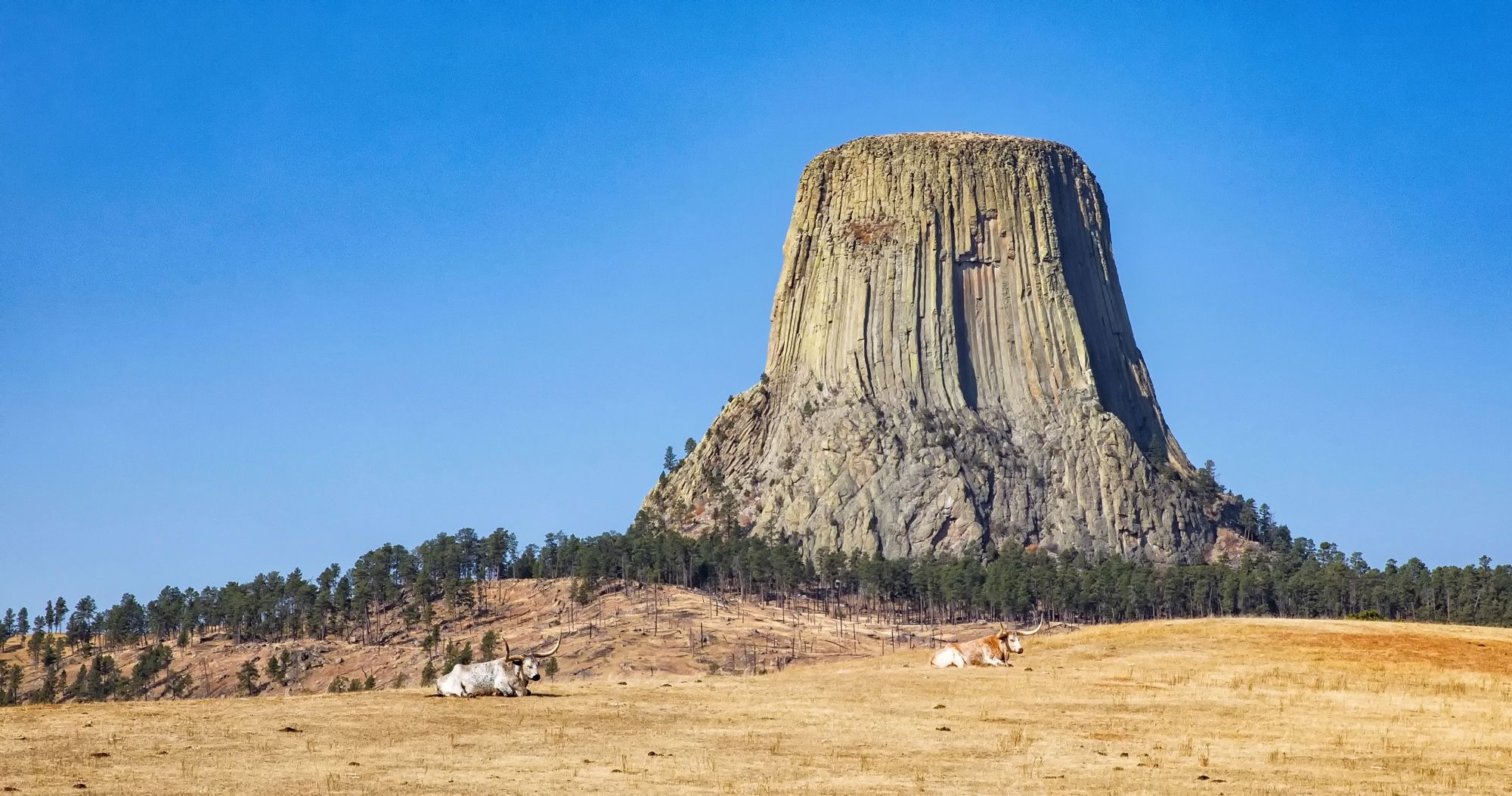 Featured image for “The Perfect Devils Tower Day Trip from South Dakota”