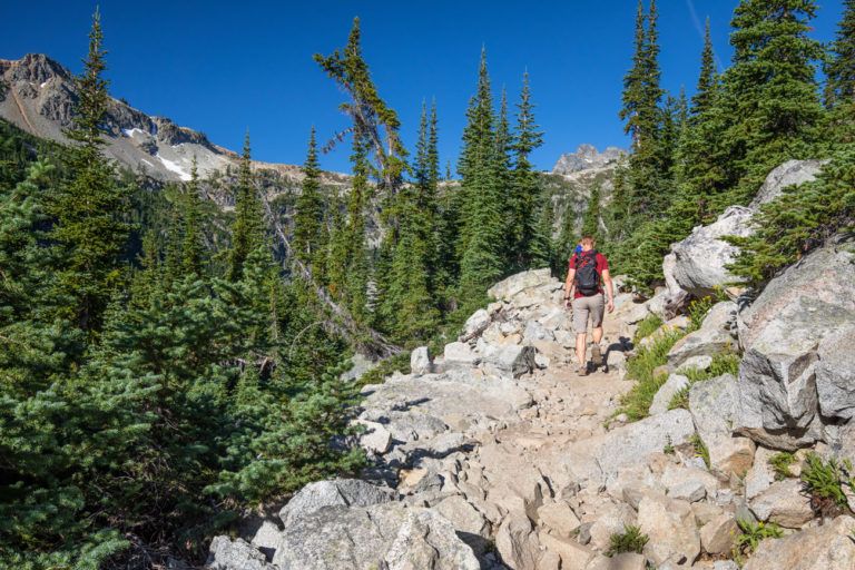 Complete Guide to the Maple Pass Loop | North Cascades National Park ...