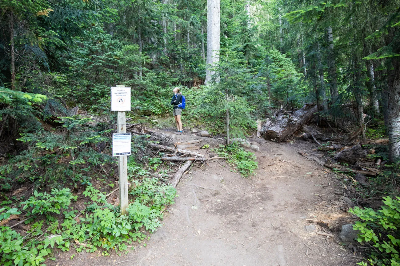 Kara standing at the Maple Pass Loop Trailhead in the counterclockwise direction