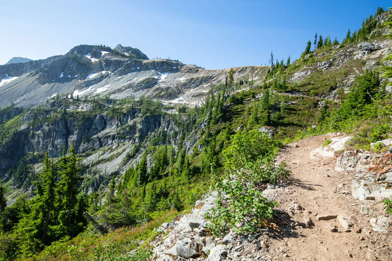 The view of the trail between Heather Pass and Maple Pass