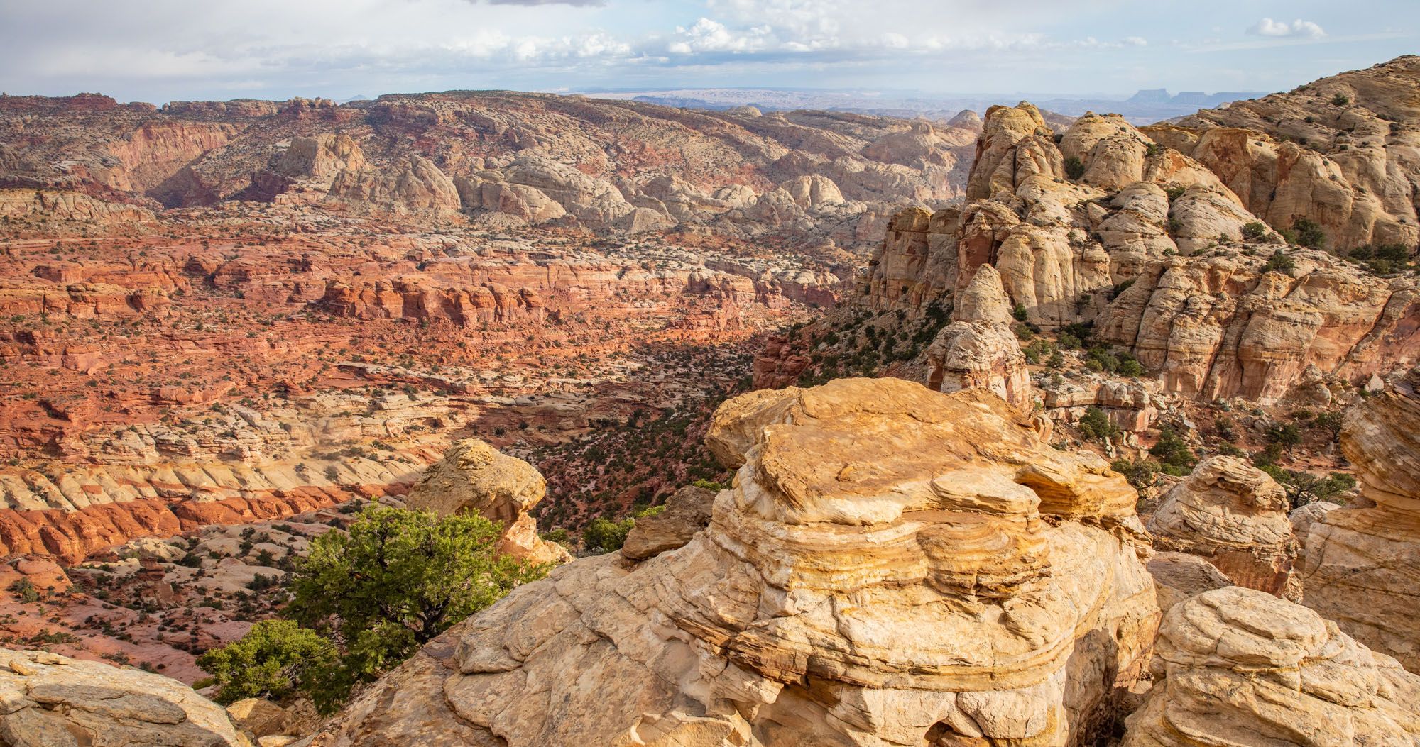 Featured image for “Rim Overlook & Navajo Knobs Trail | Capitol Reef National Park”