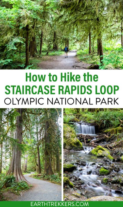 How to Hike the Staircase Rapids Loop in Olympic National Park Earth