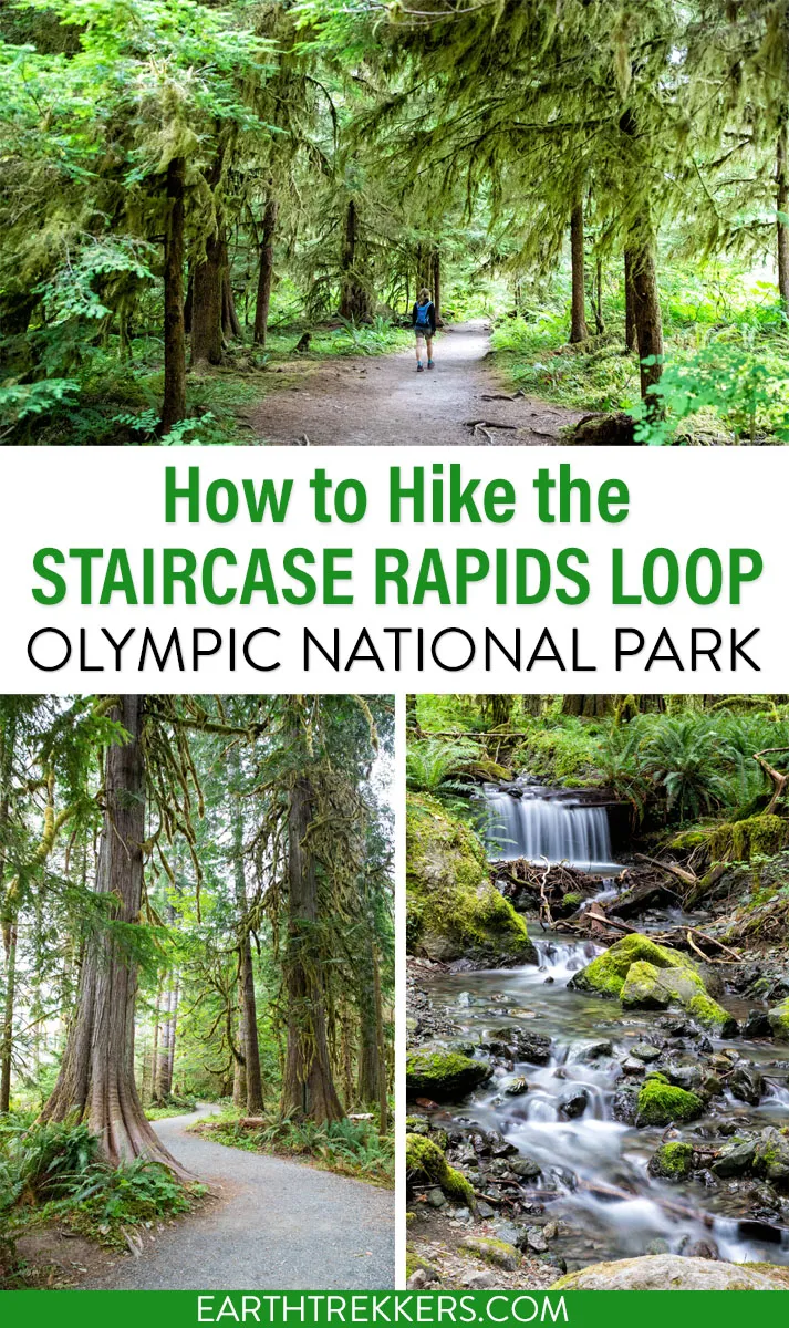 How to hike the Staircase Rapids Loop in Olympic National Park.