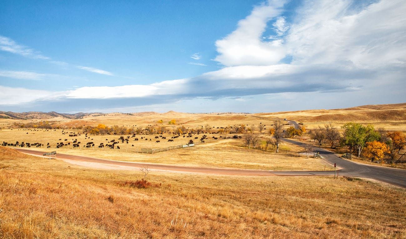 15 Things to do in South Dakota near Mount Rushmore and Rapid City