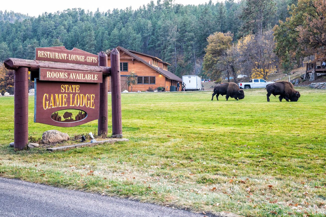State Game Lodge things to do in Custer State Park