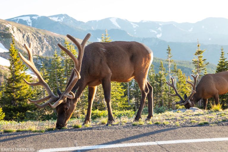 9 Spectacular Scenic Drives In Colorado | Earth Trekkers