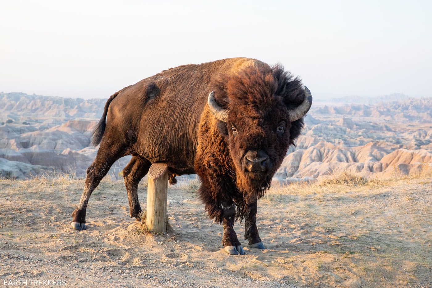 One Perfect Day In Badlands National Park | Earth Trekkers