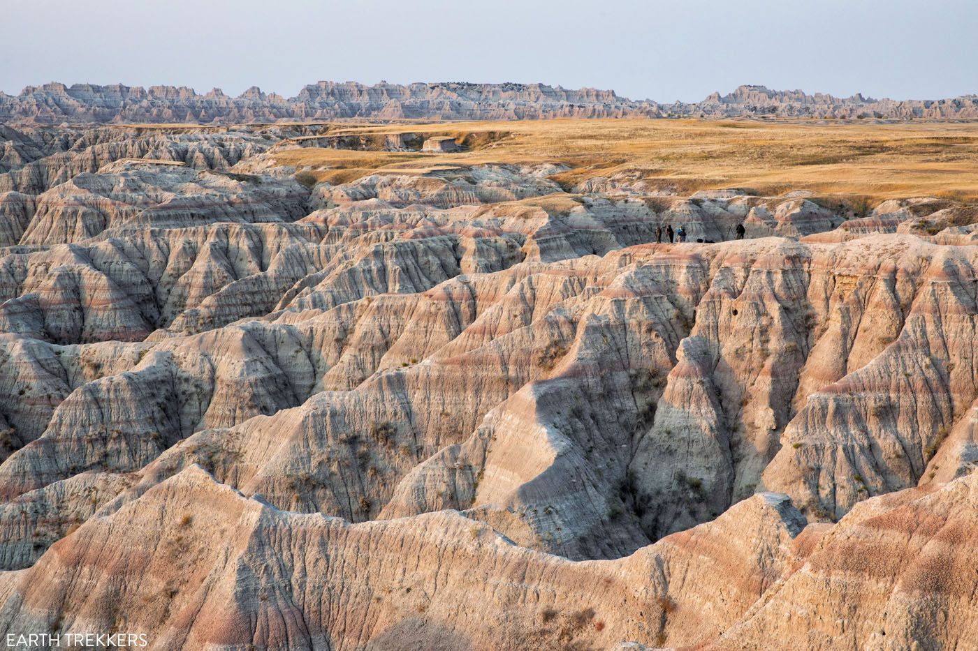 are dogs allowed in badlands national park