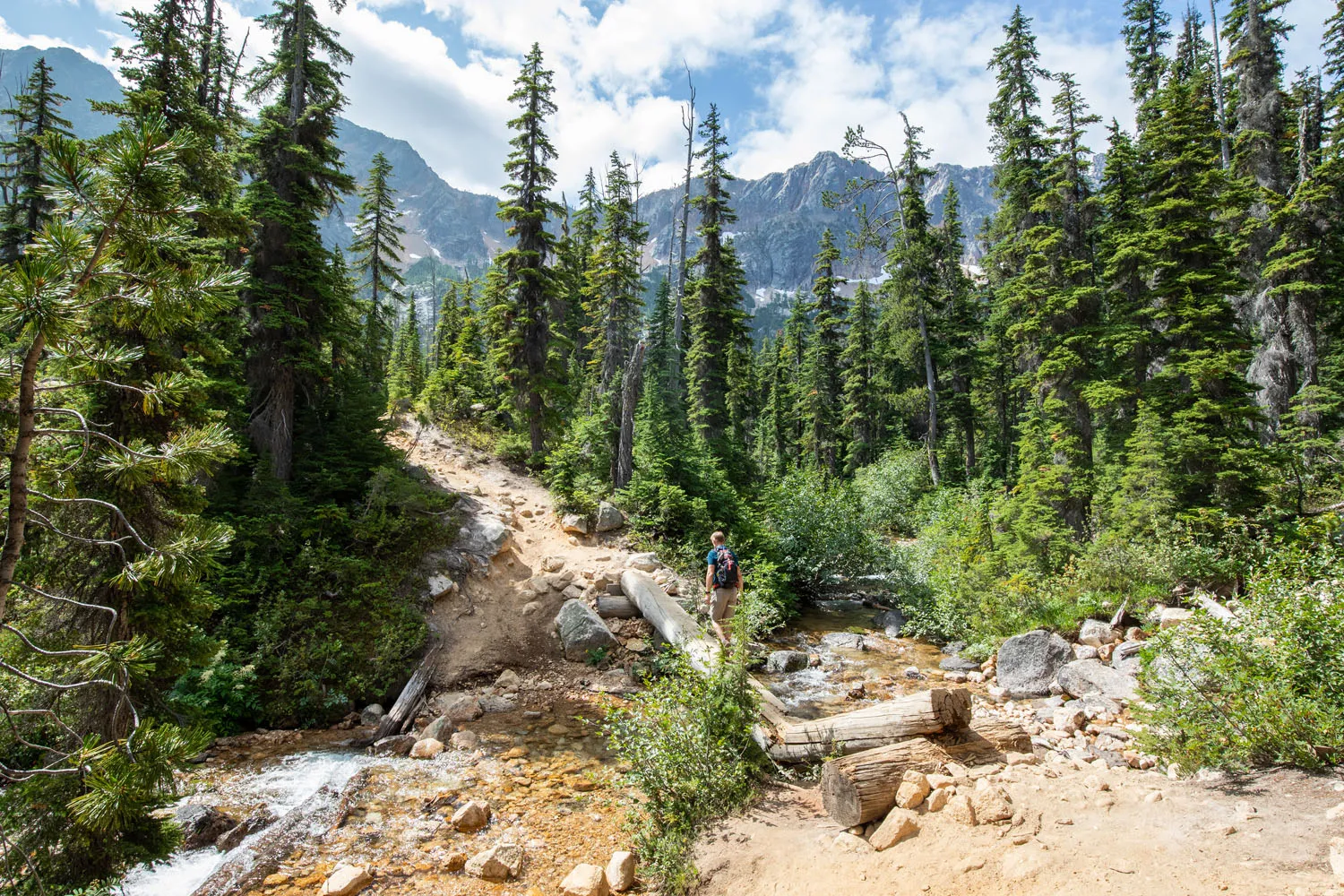 Cutthroat Lake Trail