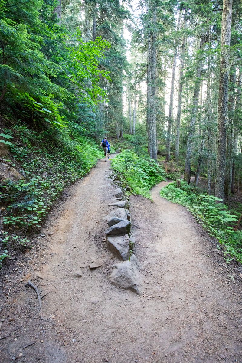 Hiking Trail in North Cascades