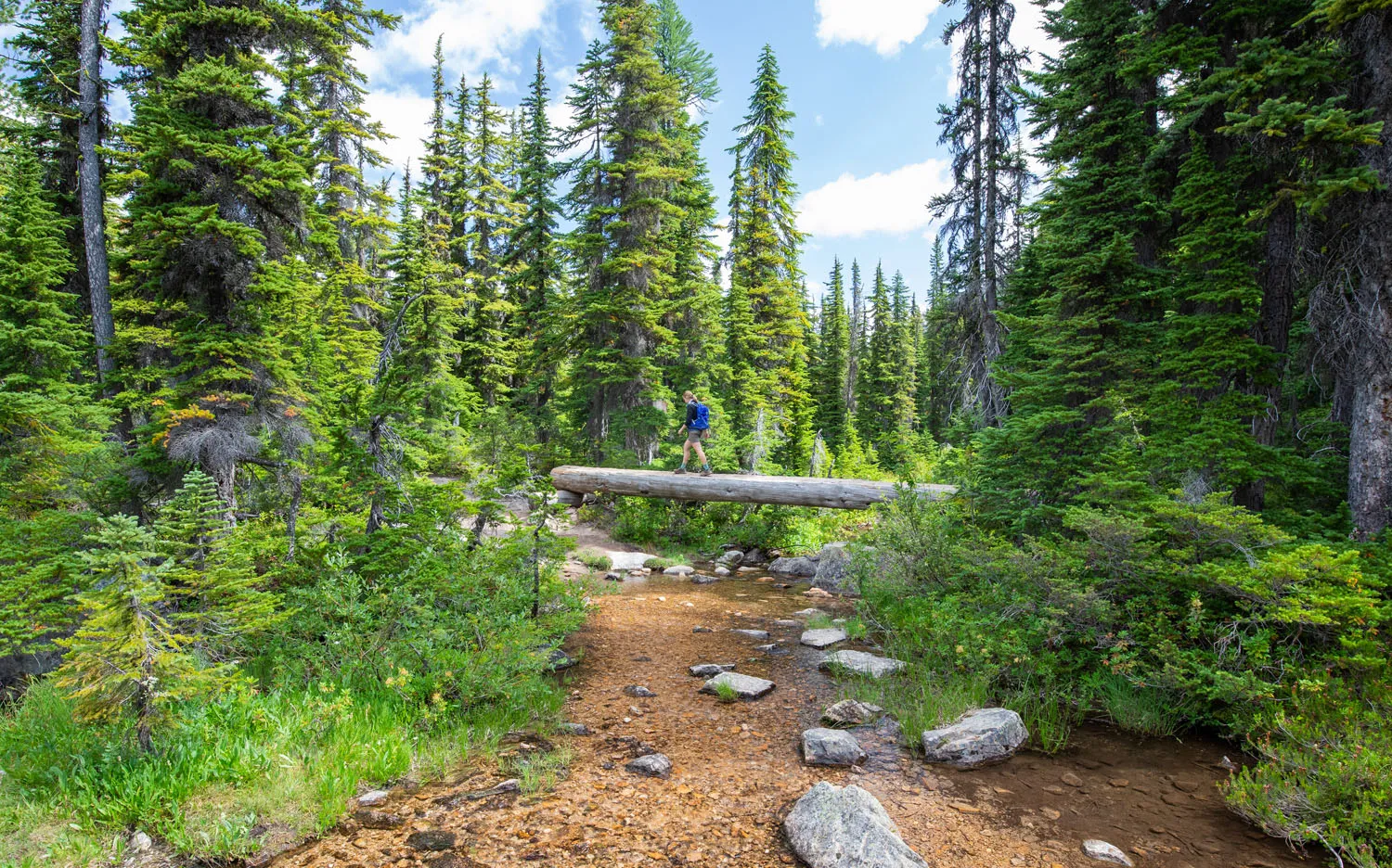 Hiking in North Cascades