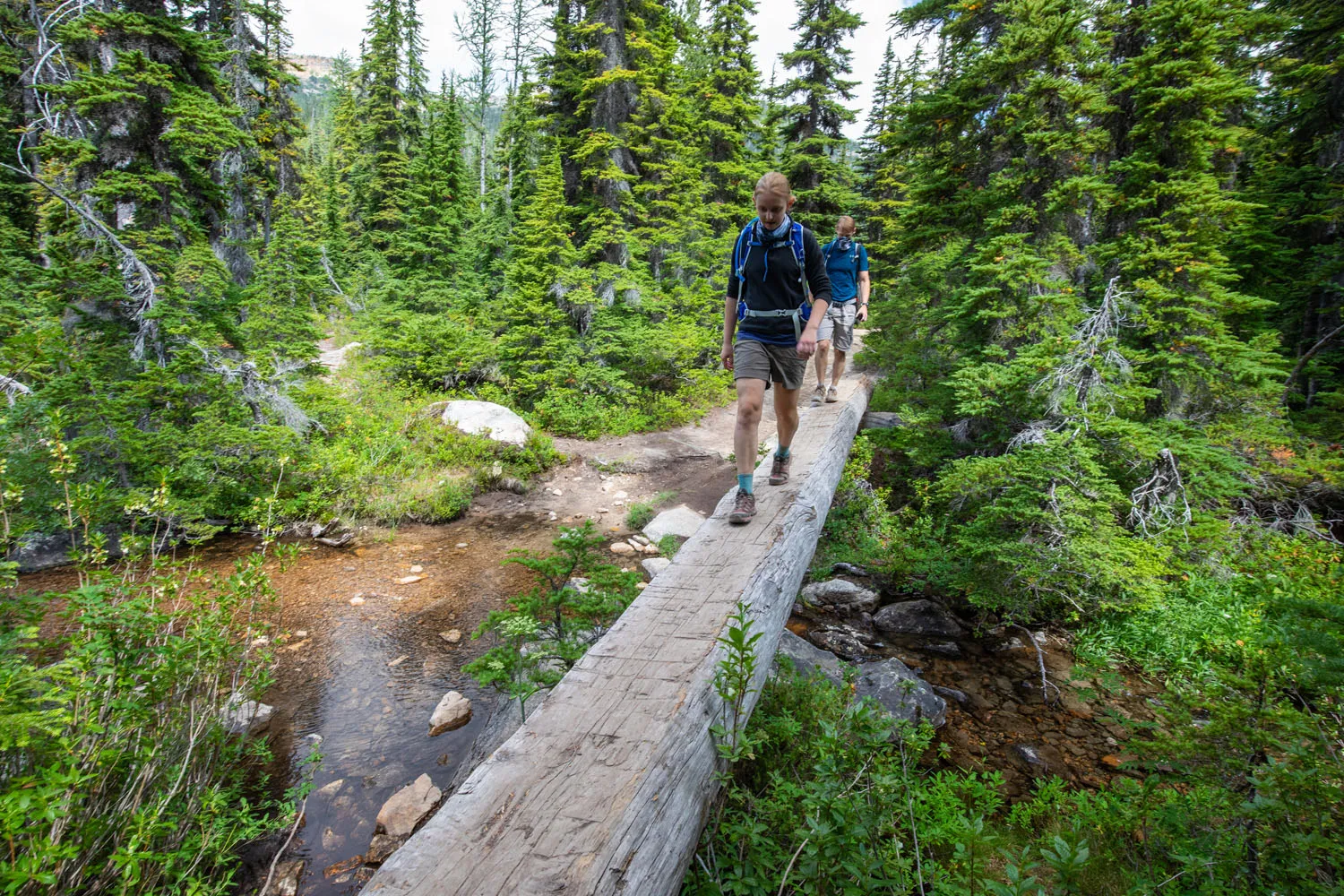 North Cascades Hiking Trail