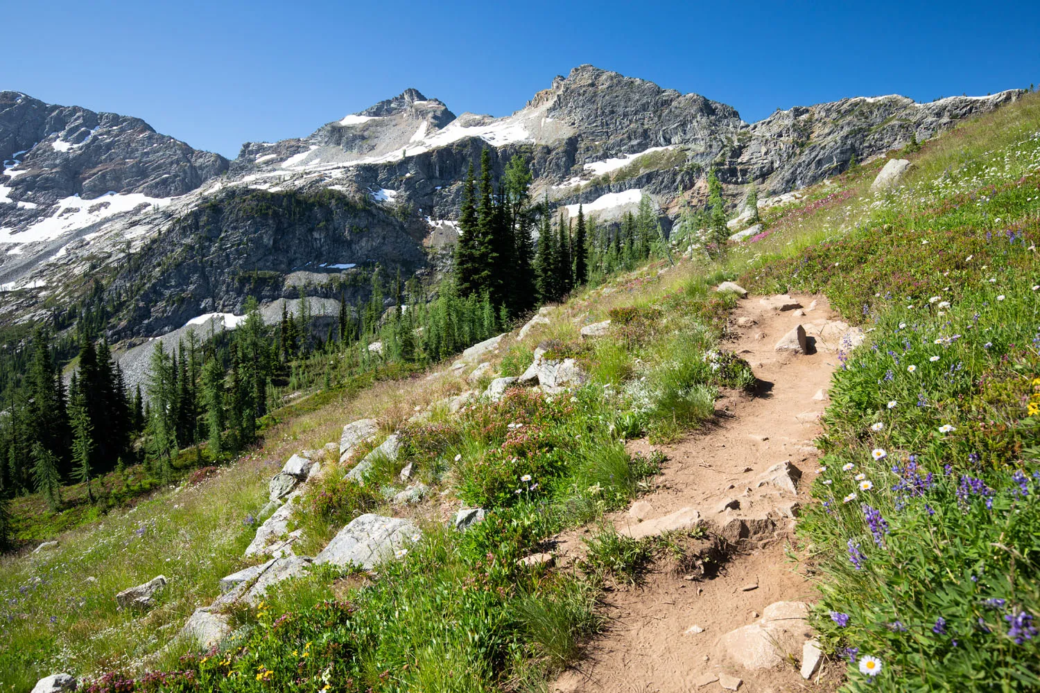 North Cascades in August