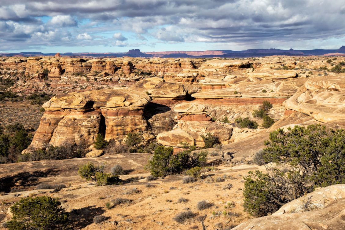 12 Amazing Things to Do in The Needles, Canyonlands National Park ...