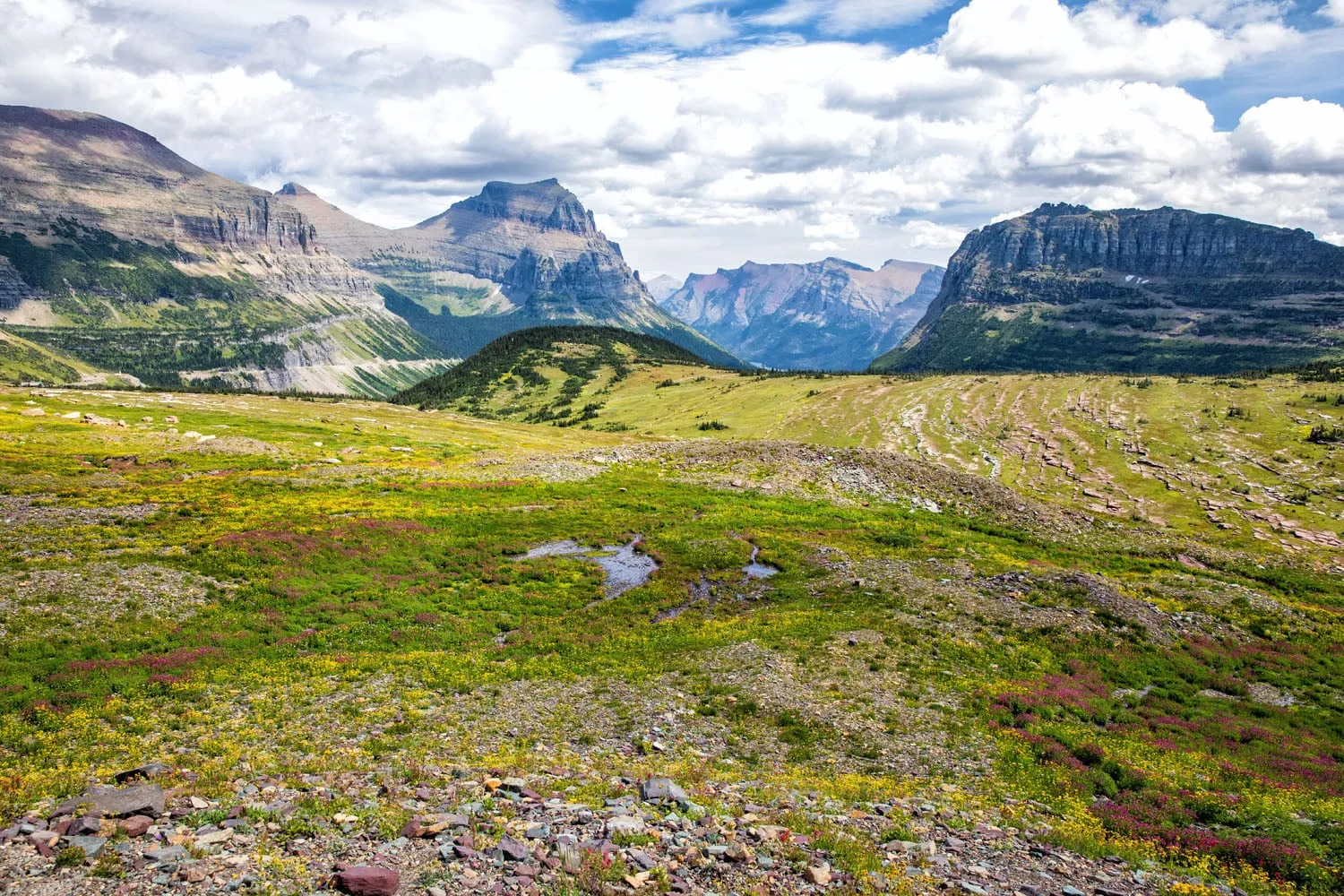 View from Logan Pass