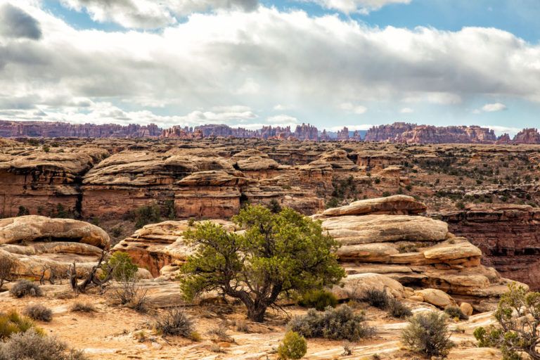 12 Amazing Things to Do in The Needles, Canyonlands National Park ...