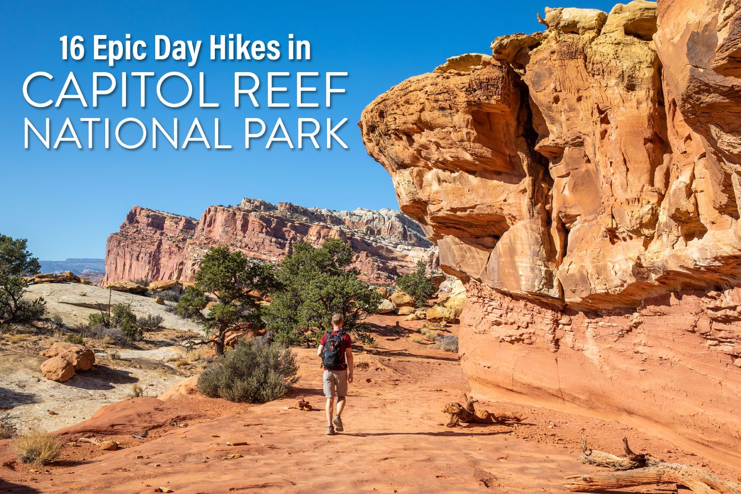 Capitol Reef National Park Day Hikes