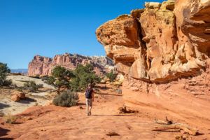 16 Epic Day Hikes in Capitol Reef National Park | Earth Trekkers