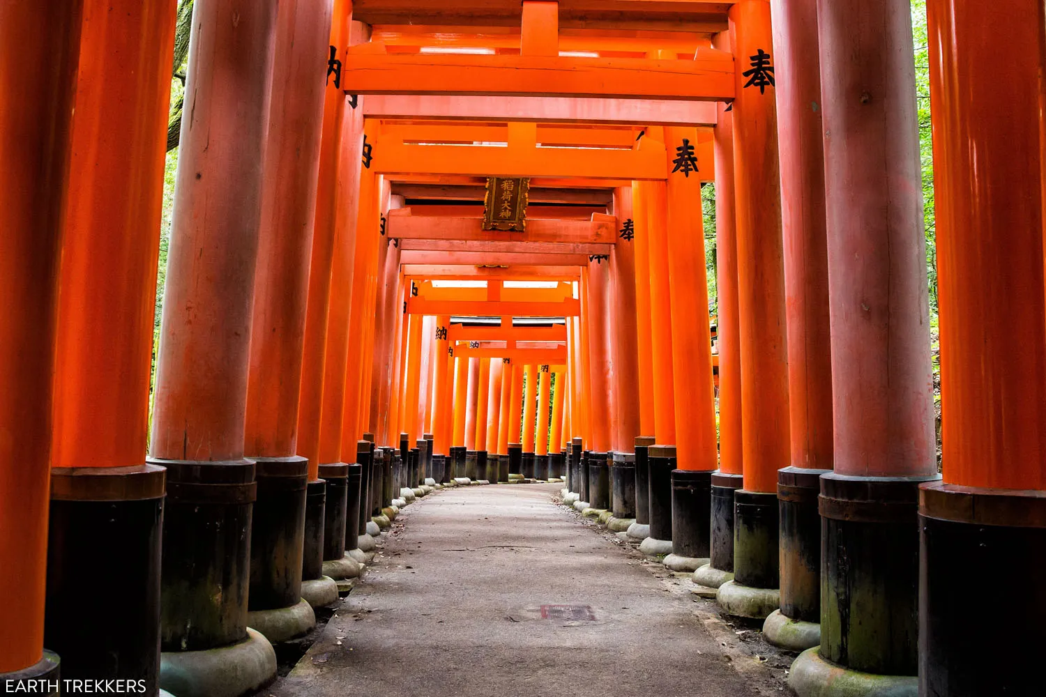 Fushimi Inari Taisha Photo