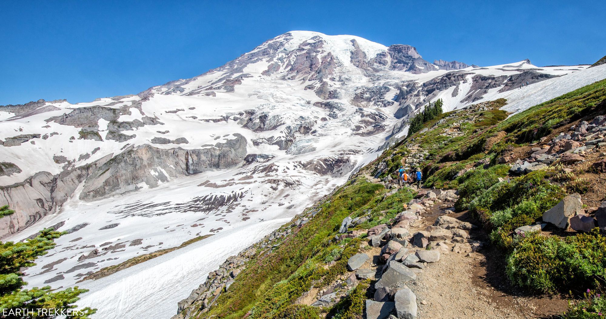 Featured image for “14 Amazing Things to Do in Mount Rainier National Park”