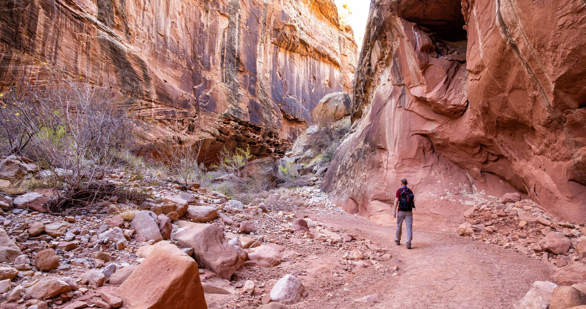 One Day in Capitol Reef Hikes