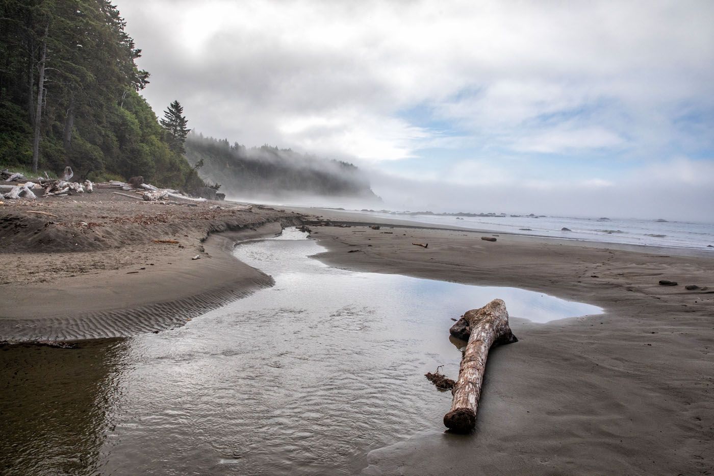 Third Beach hikes in Olympic National Park