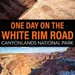 Everything you need to know to spend one day on the White Rim Road in Canyonlands National Park, Moab, Utah.