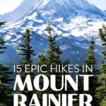 Best Hikes Mount Rainier NP