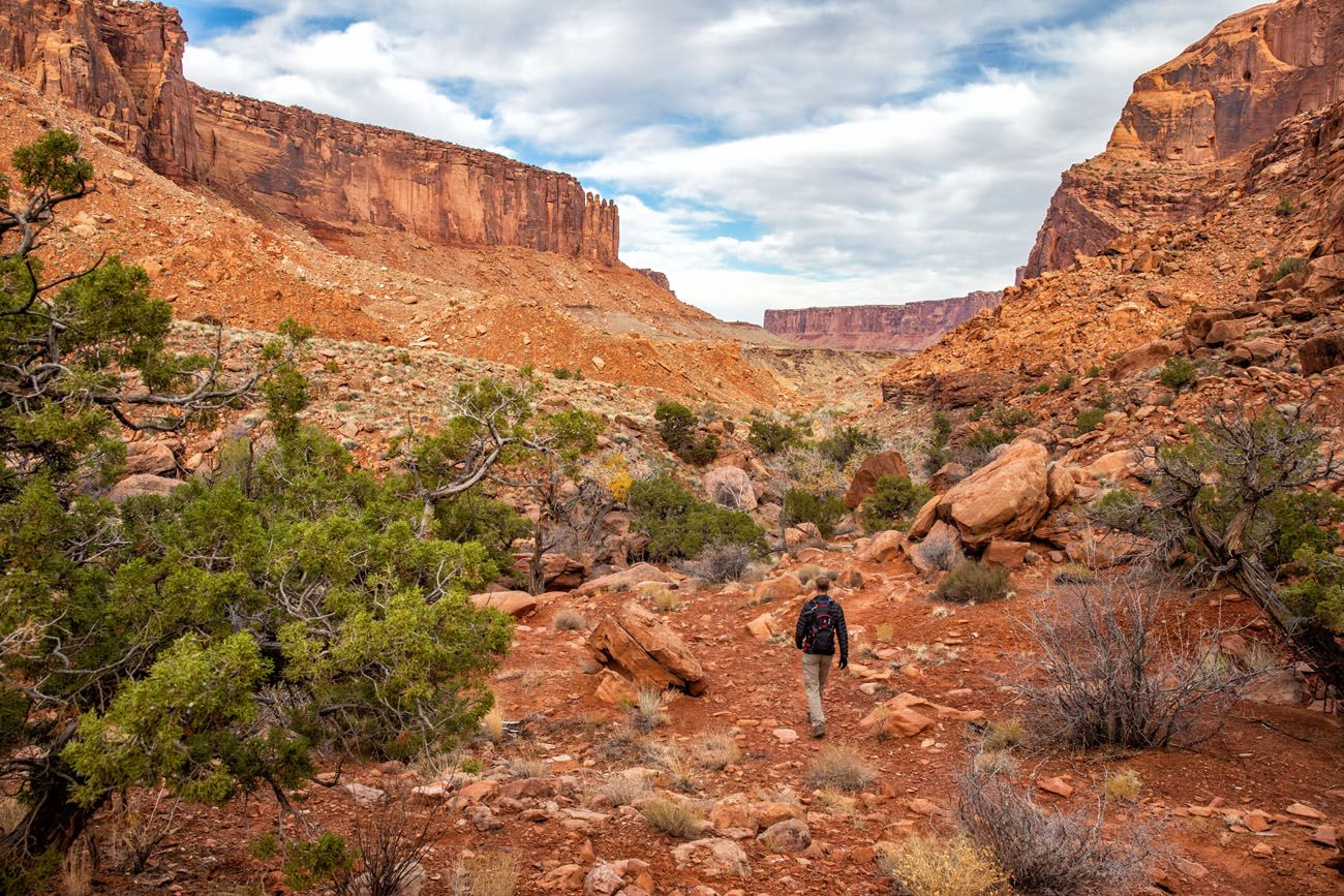 Syncline Loop best things to do in Canyonlands