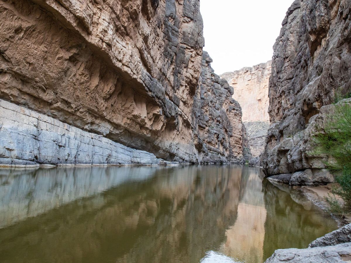 Are Dogs Allowed In Big Bend are-dogs-allowed-in-big-bend